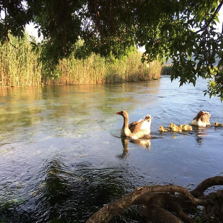 Akyaka (Azmak Nehri)