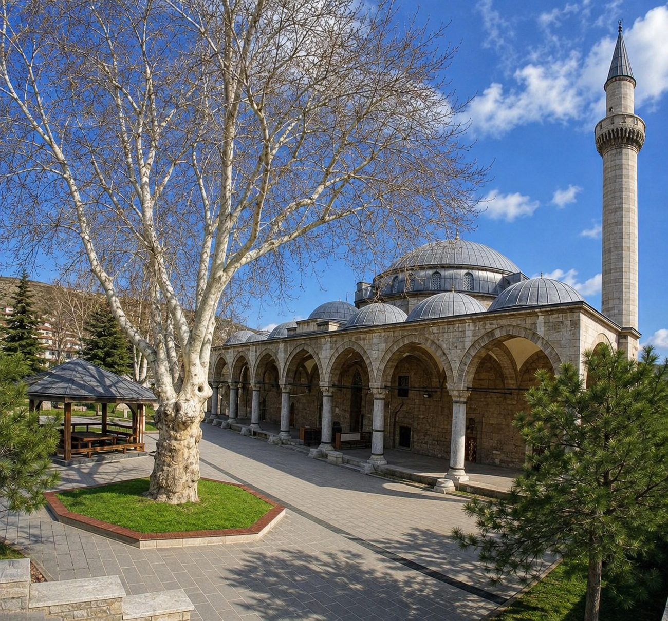 Ali Pasha Mosque - Place cover image