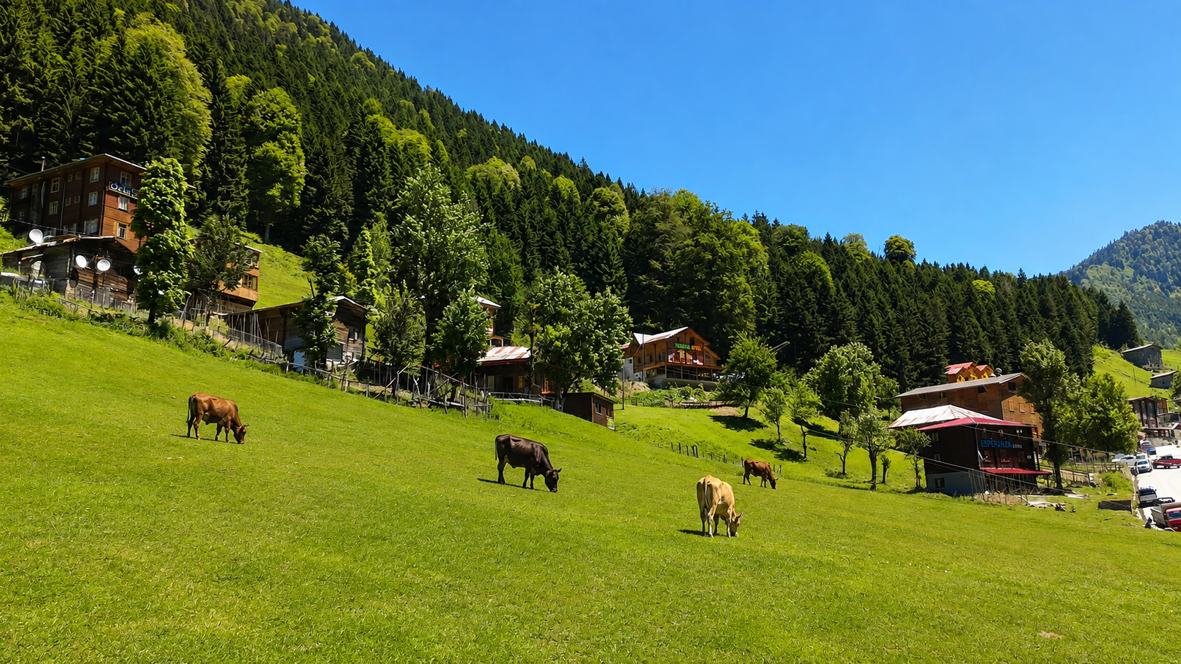 Ayder Yaylası