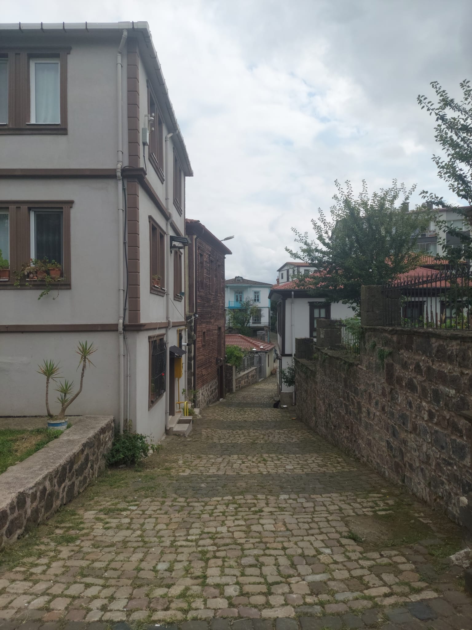 Zeytinlik Neighborhood - Place cover image